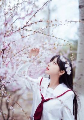 精灵梦叶罗丽时间雨全集免费观看